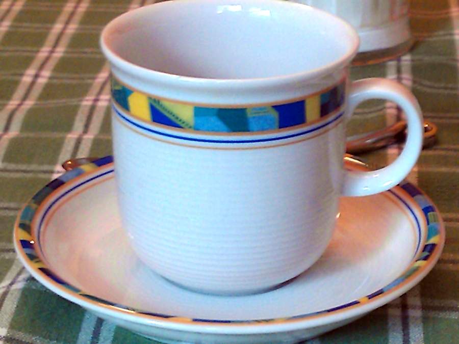 Garden Flat Cup & Saucer Set by Thomas-1