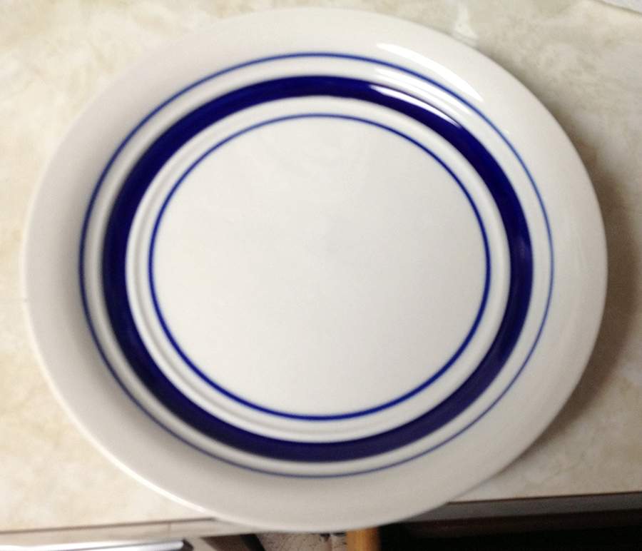 TDH5 Dinner Plate by Todays Home-1