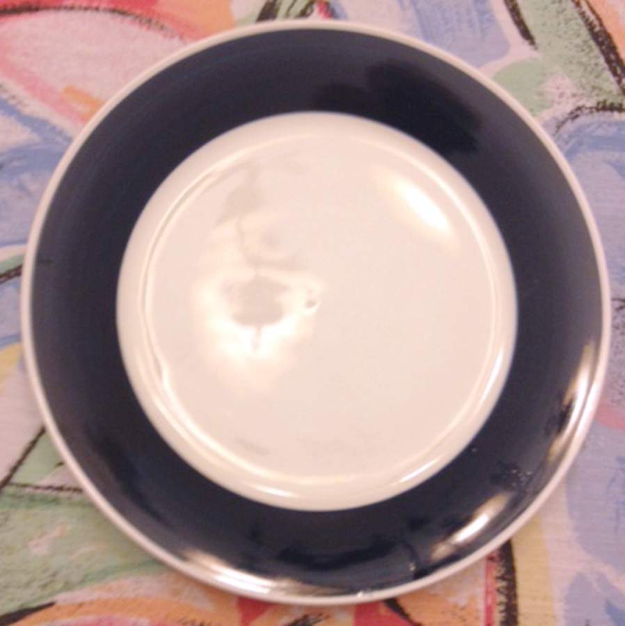 TDH6 Dinner Plate by Todays Home-1
