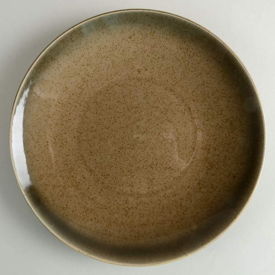 Victoria Speckle Dinner Plate by Threshold-1