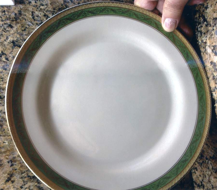 TIR656 Dinner Plate by Tirschenreuth-1