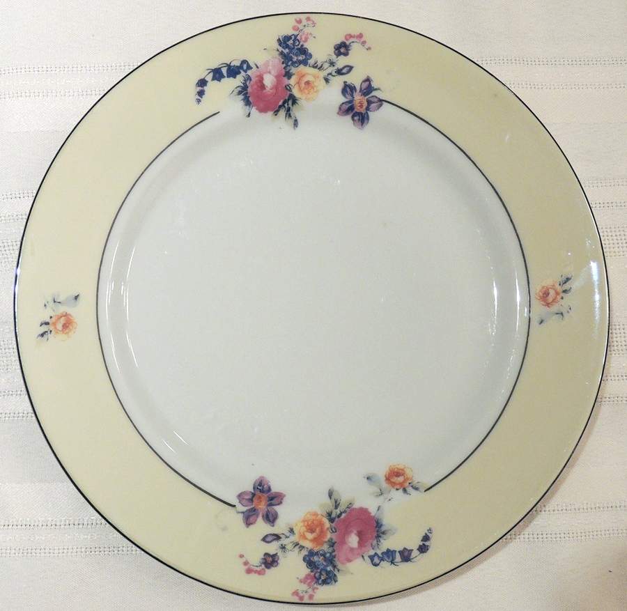 TI23 Dinner Plate by Trico-1