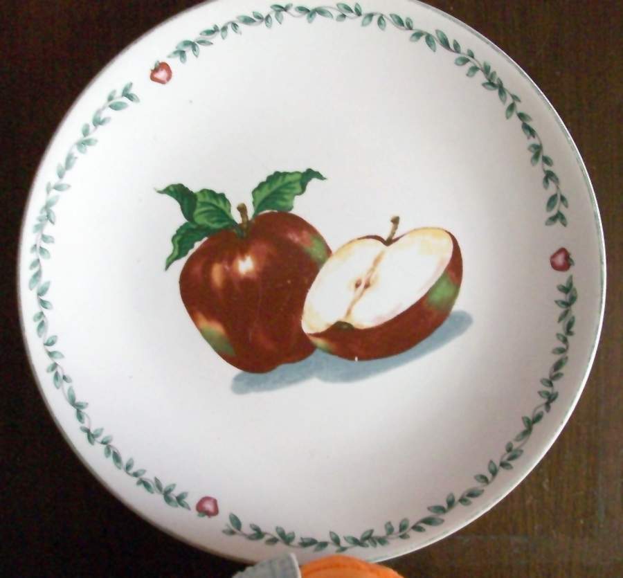TTO40 Dinner Plate by Totally Today-1