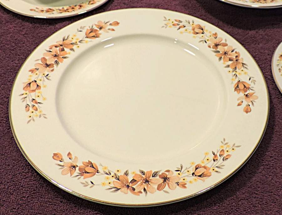 TST1073 Dinner Plate by Taylor, Smith & Taylor (Ts&T)-1