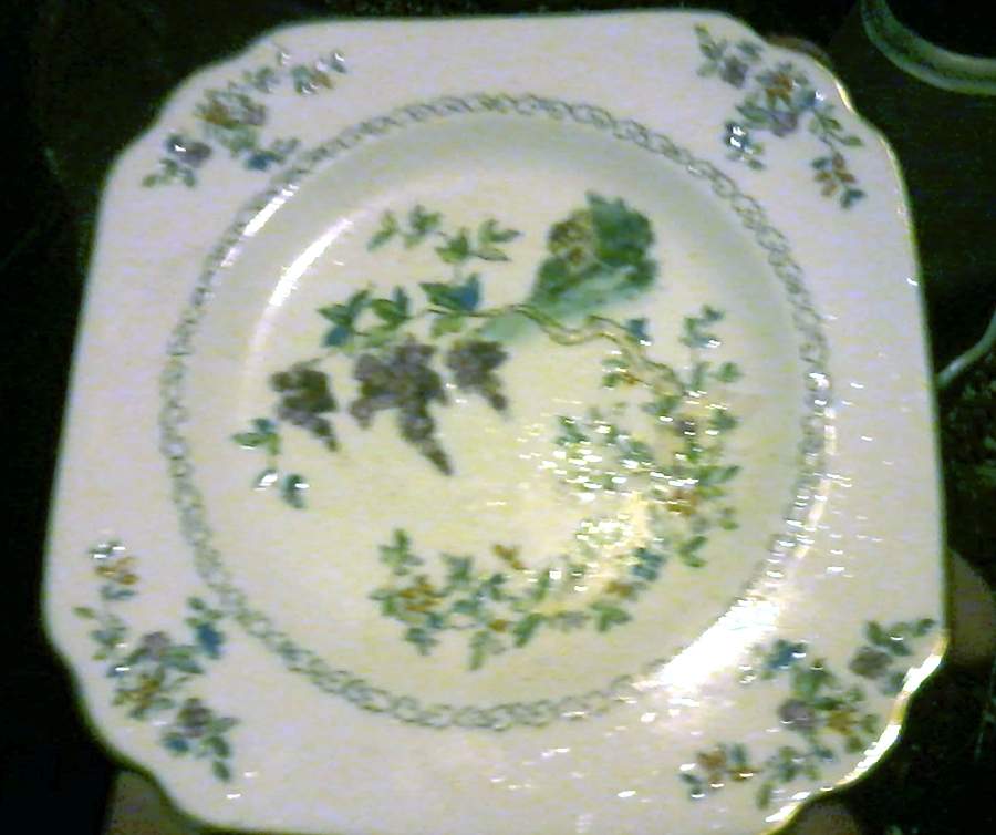 TUS194 Square Salad Plate by Tuscan - Royal Tuscan-1