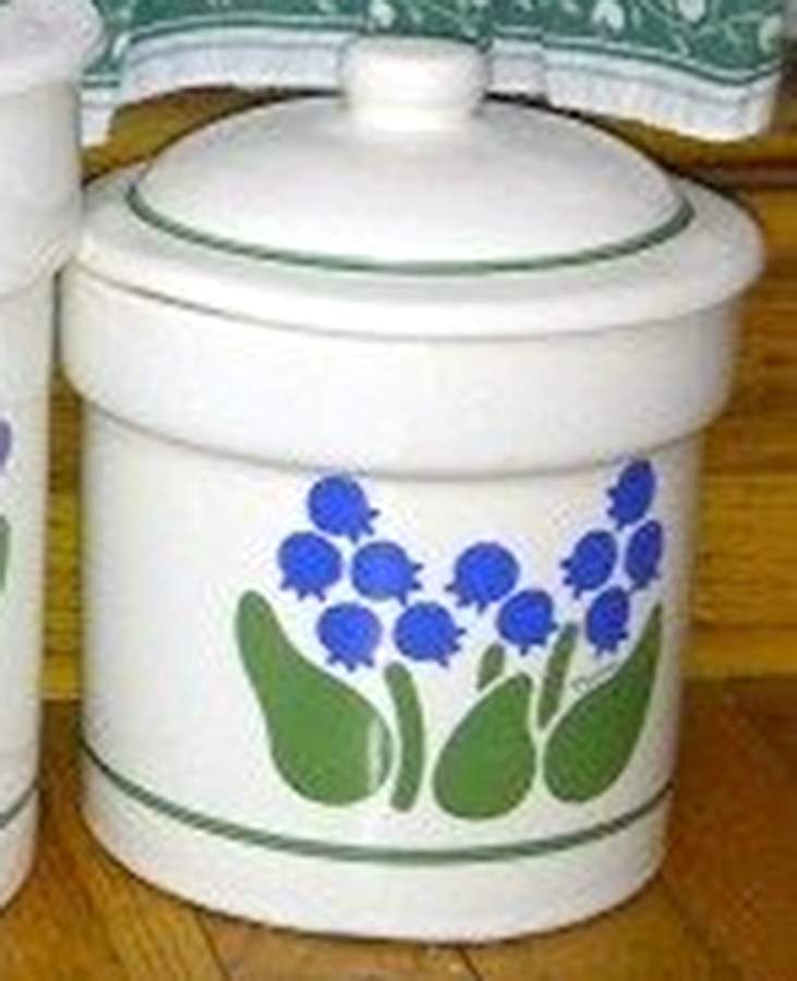 Nina Medium Canister & Lid by Treasure Craft-1