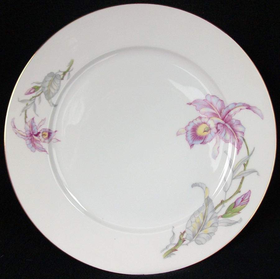 7391-47 Dinner Plate by Thomas-1