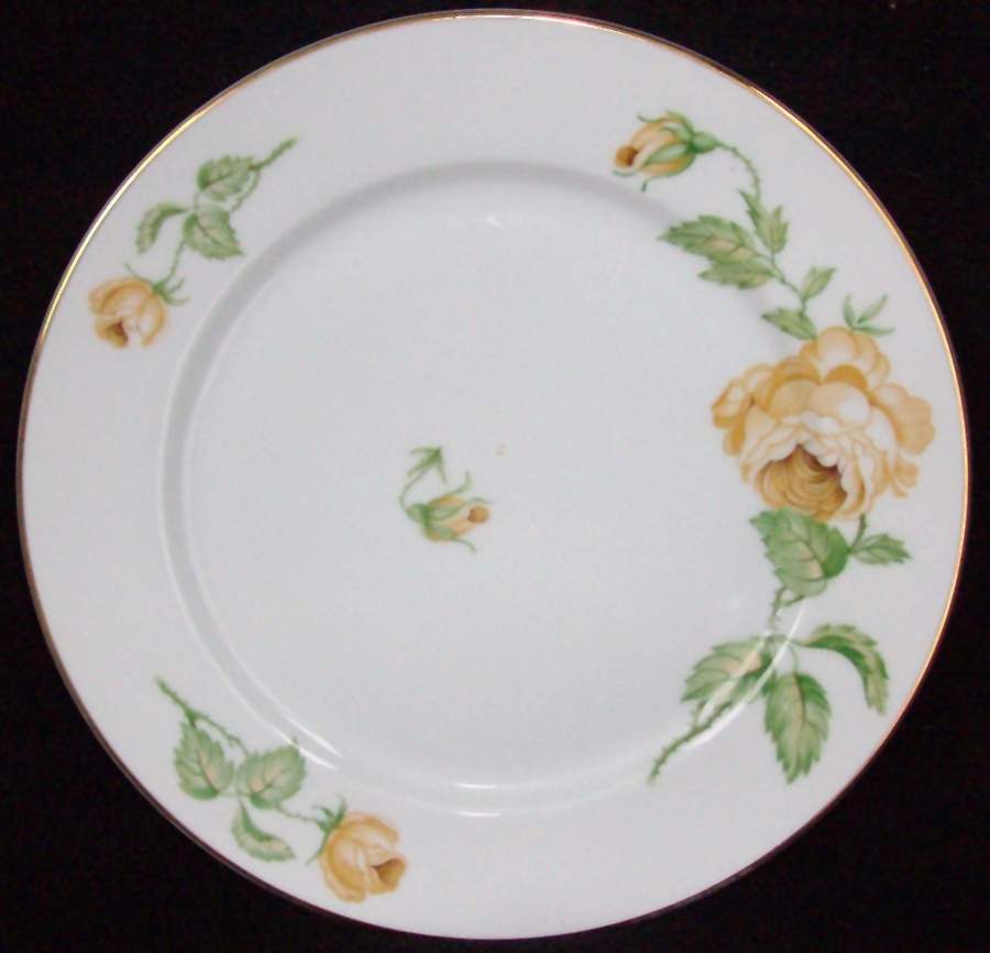 7372-45 Dinner Plate by Thomas-1