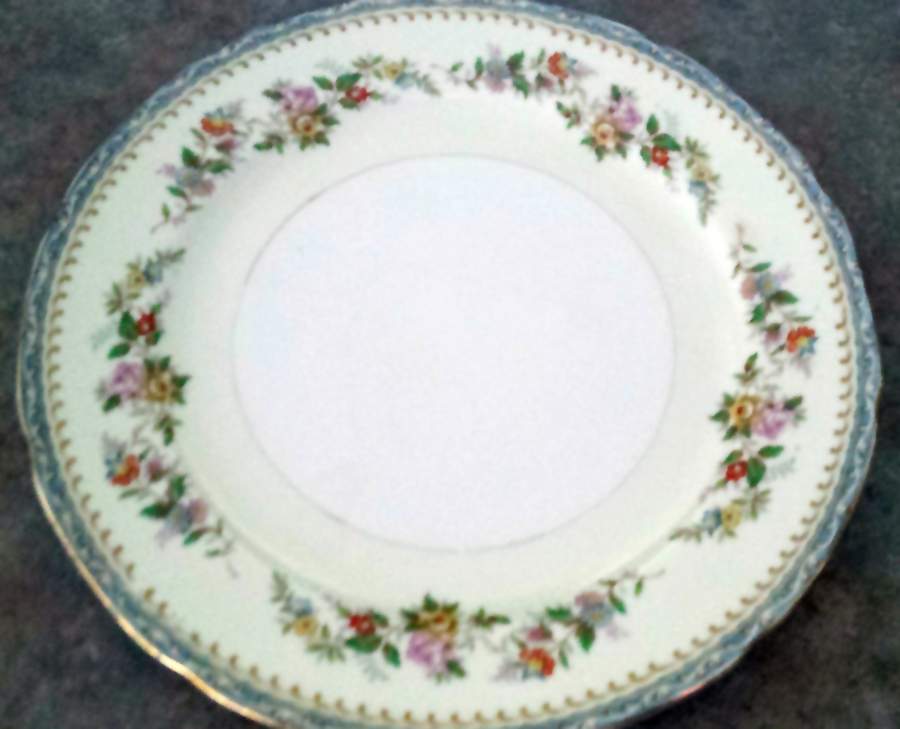 TI24 Dinner Plate by Trico-1