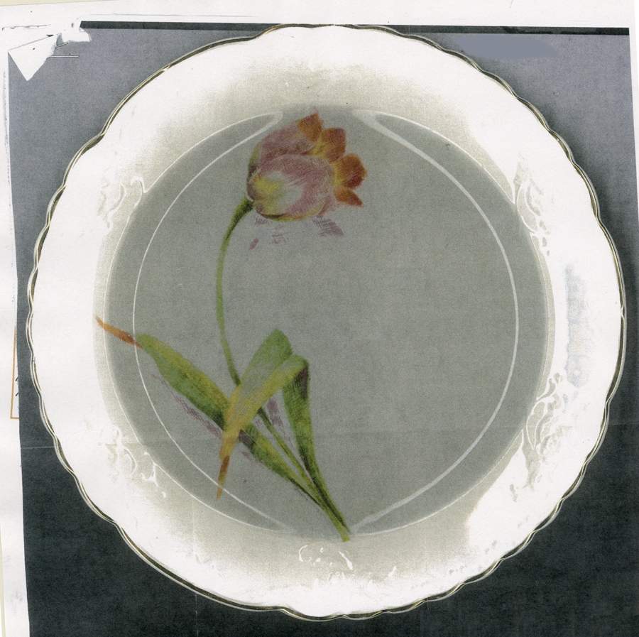 TST1080 Dinner Plate by Taylor, Smith & Taylor (Ts&T)-1