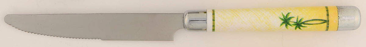 The Island Small Dinner Knife by Tabletops Unlimited-1