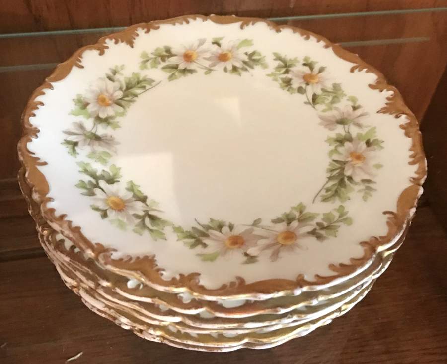 TRV818 Dinner Plate by Tressemanes & Vogt-1