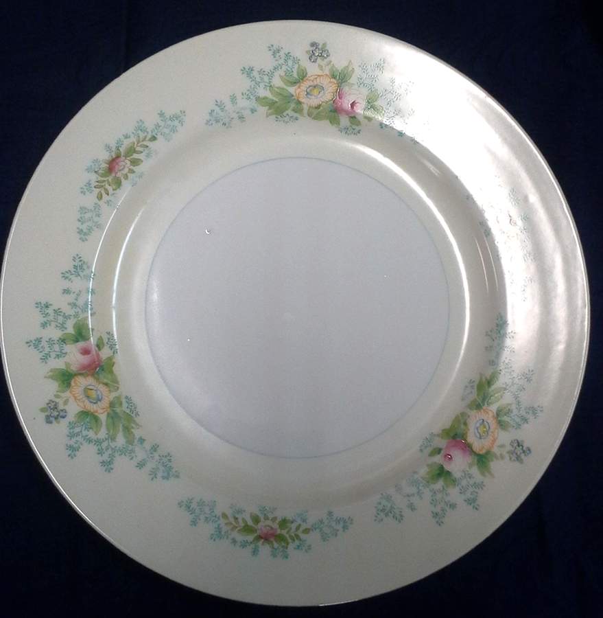 TSW15 Dinner Plate by Transor Ware (Japan)-1