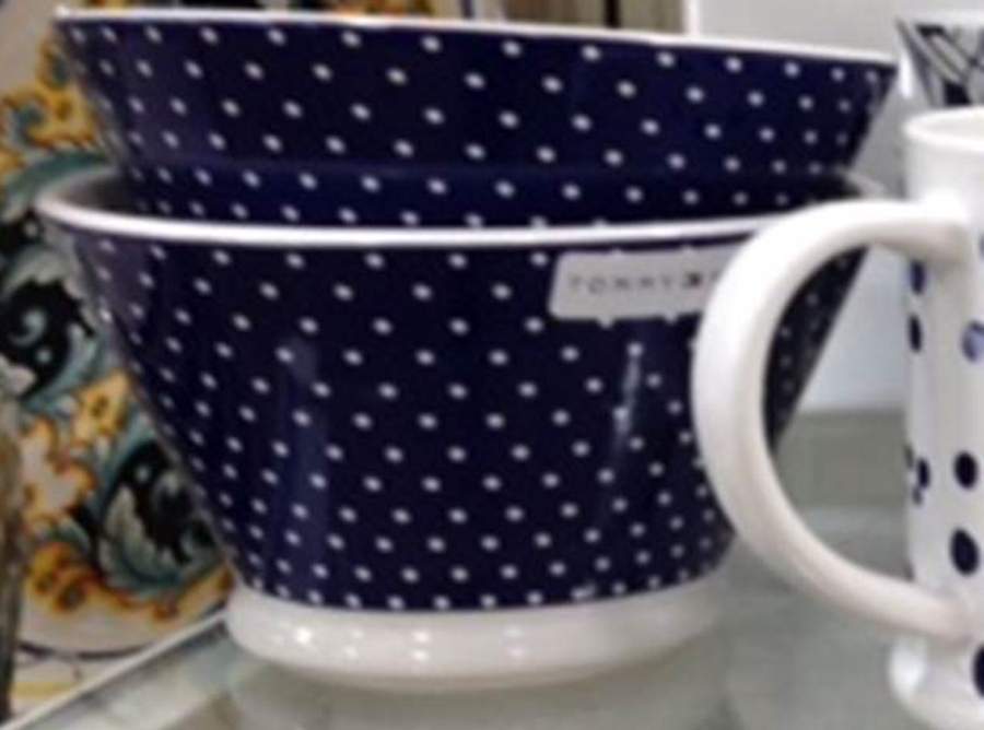 TME3 Blue All Purpose Bowl by Tommy Hilfiger-1