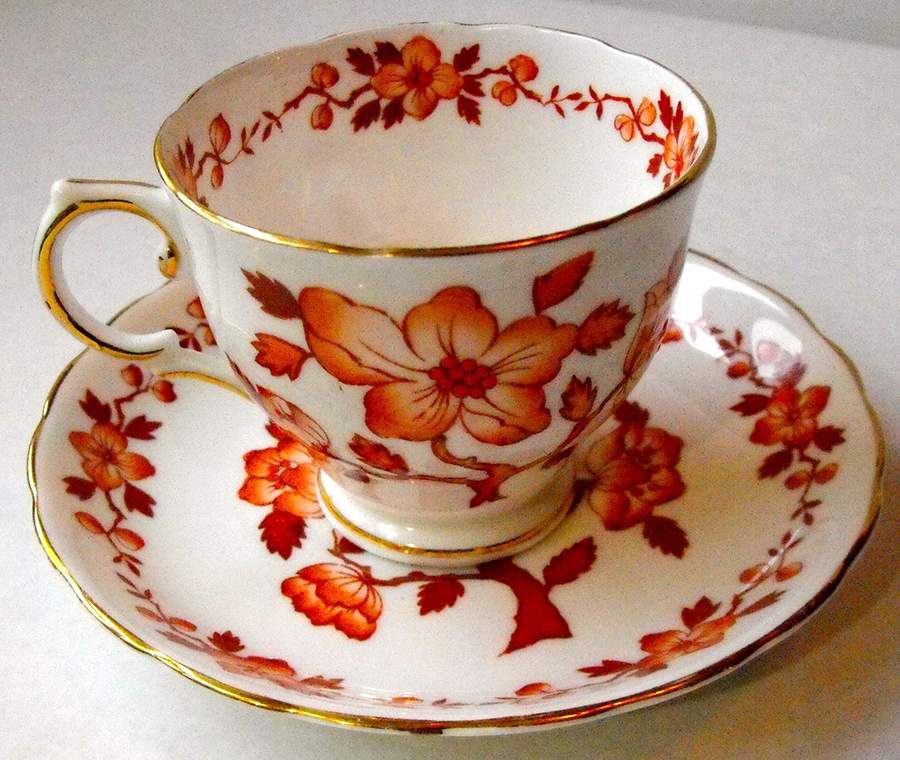 C9640 Footed Cup & Saucer Set by Tuscan - Royal Tuscan-1