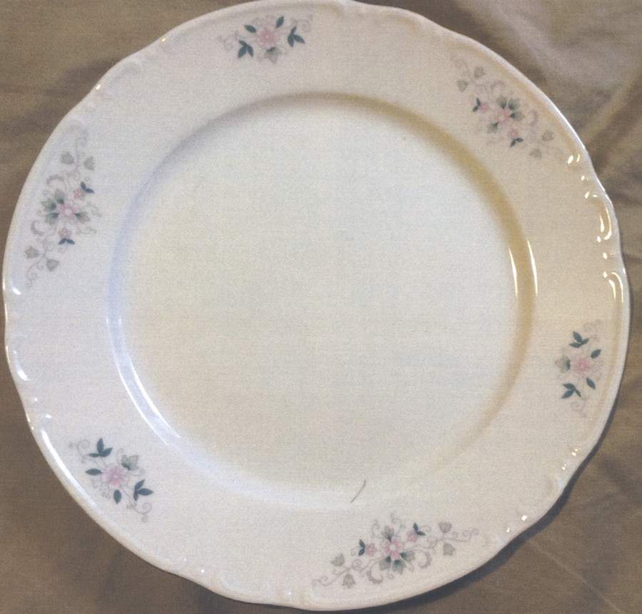 THU507 Dinner Plate by Thun-1