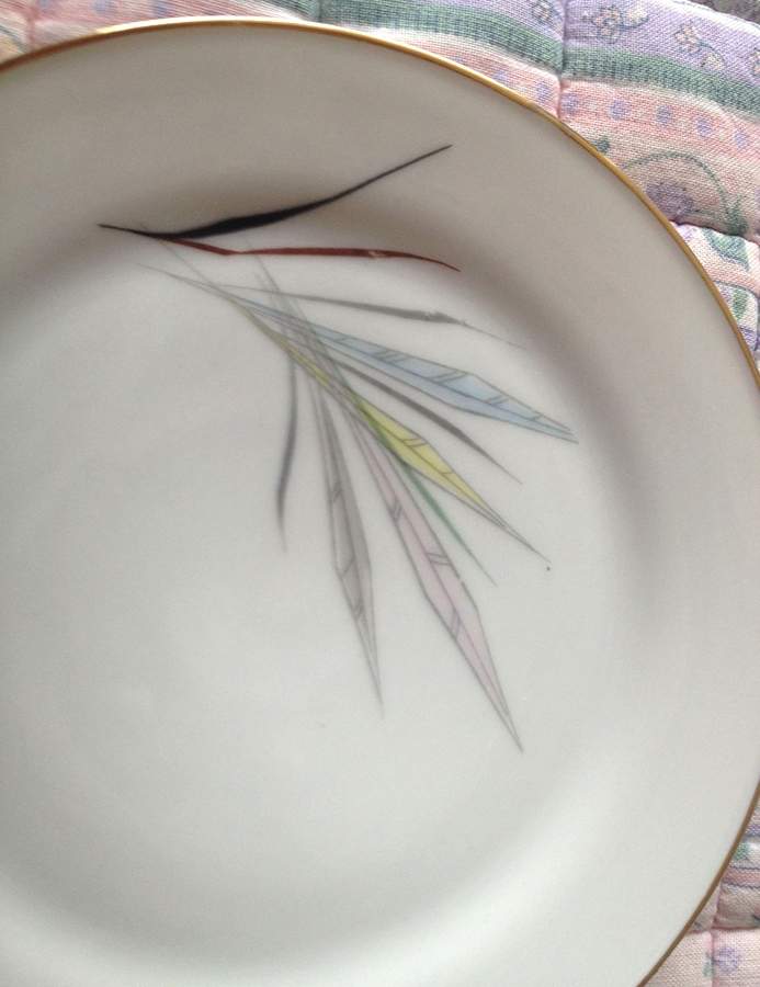 TIR674 Dinner Plate by Tirschenreuth-1