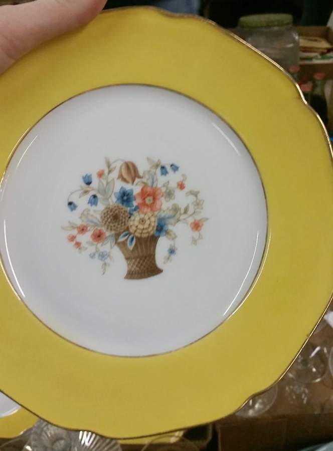 TIR687 Dinner Plate by Tirschenreuth-1
