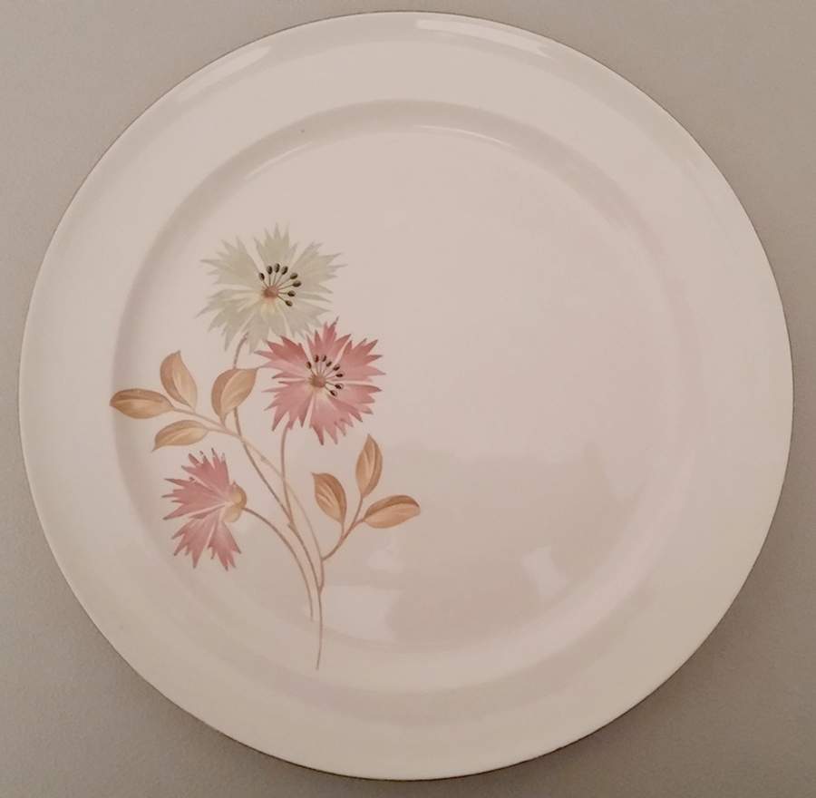TST1096 Dinner Plate by Taylor, Smith & Taylor (Ts&T)-1