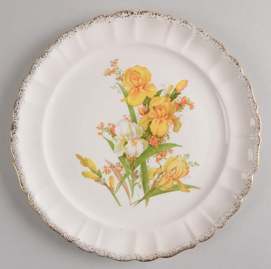 THP113 Dinner Plate by Thompson-1