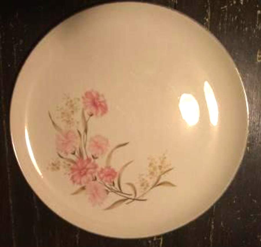 TST1102 Dinner Plate by Taylor, Smith & Taylor (Ts&T)-1