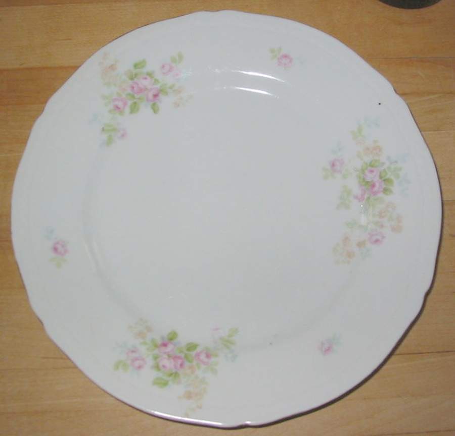 TIR696 Dinner Plate by Tirschenreuth-1