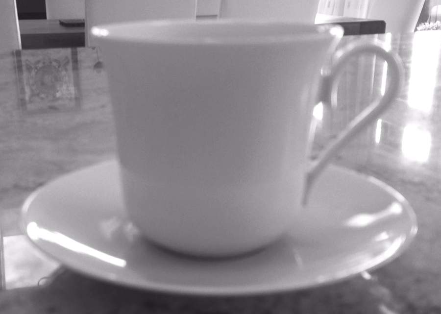 Carmen Flat Cup & Saucer Set by Tirschenreuth-1