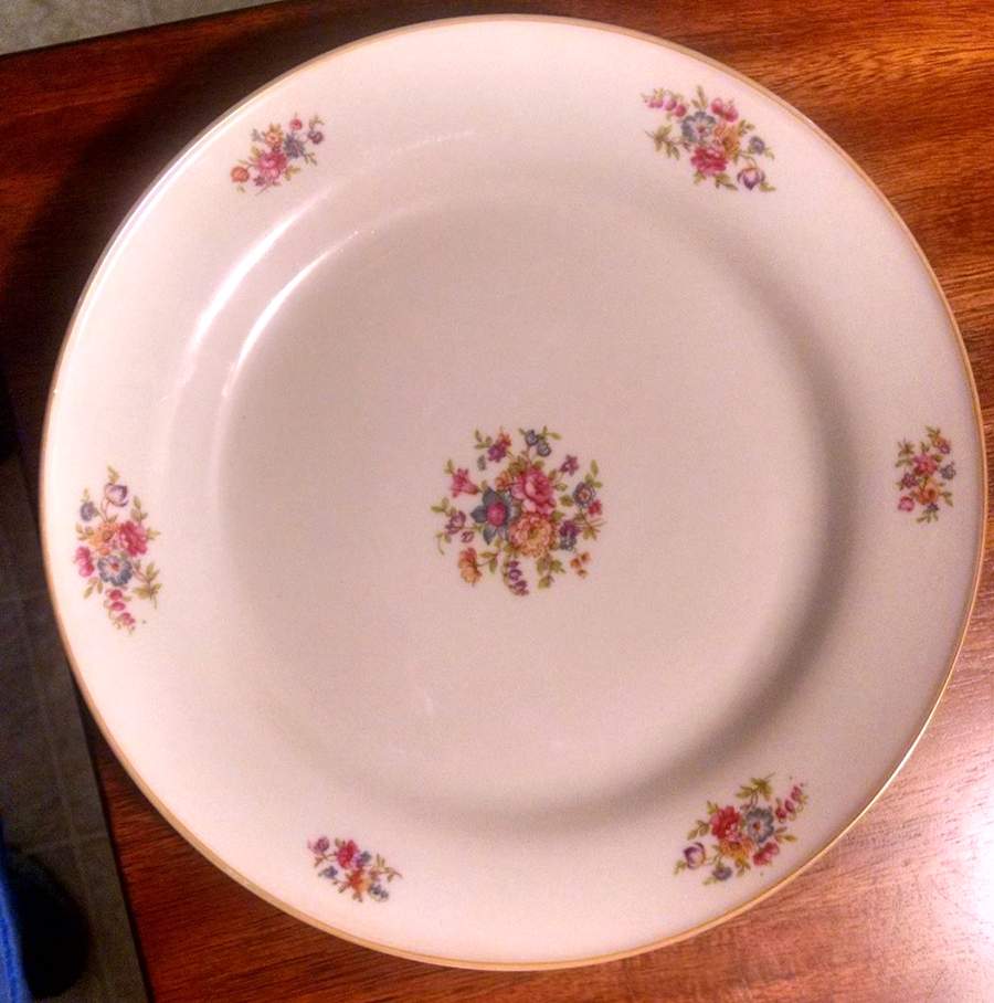 TIR17 (No Verge) Dinner Plate by Tirschenreuth-1