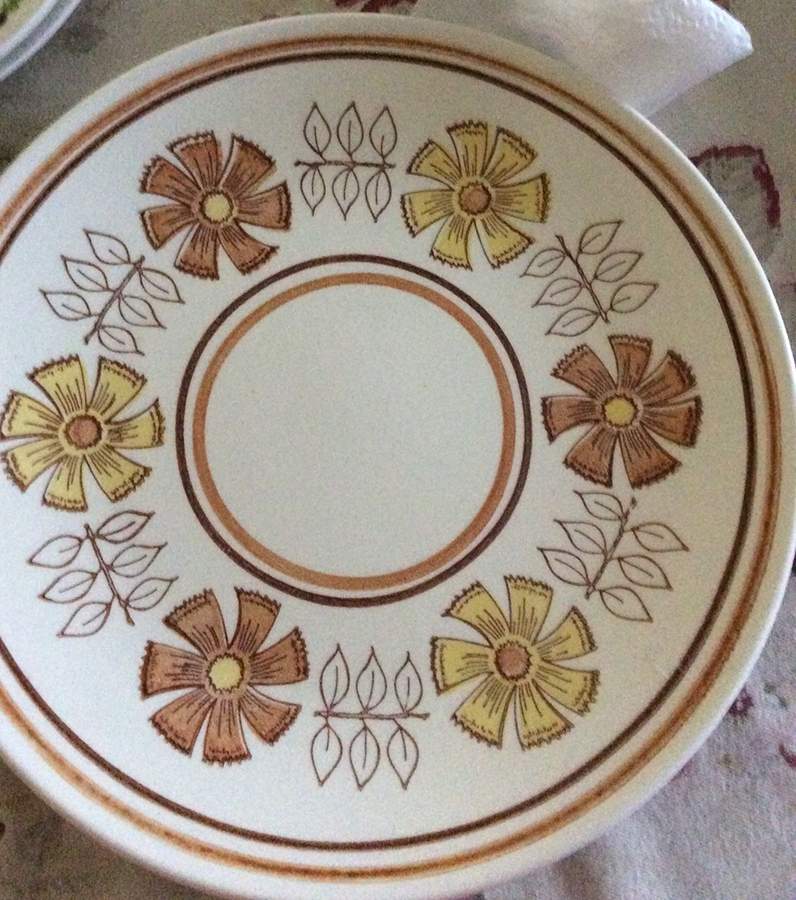 Straw Flower Brown Dinner Plate by Taylor, Smith & Taylor (Ts&T)-1
