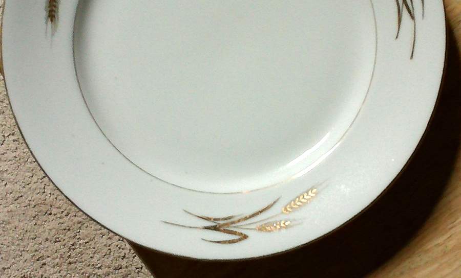 TIA16 Dinner Plate by Tiara (Bavaria)-1
