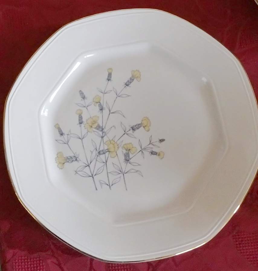 TOG66 Dinner Plate by Tognana-1