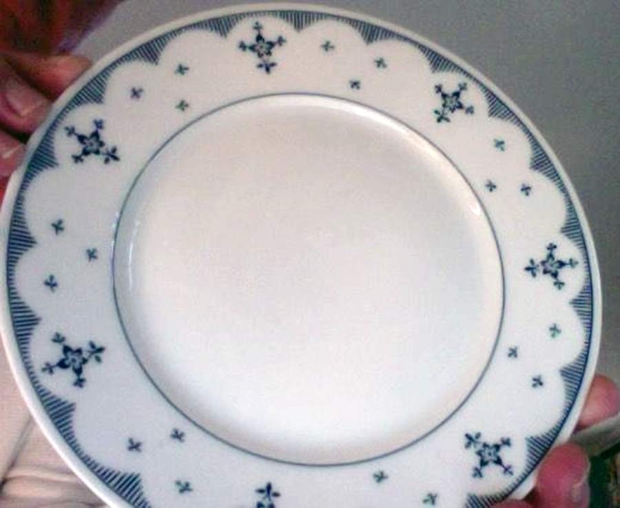 THO590 Salad Plate by Thomas-1