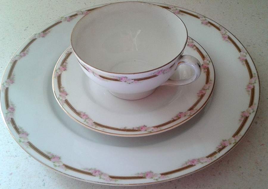 TIR708 Dinner Plate by Tirschenreuth-1