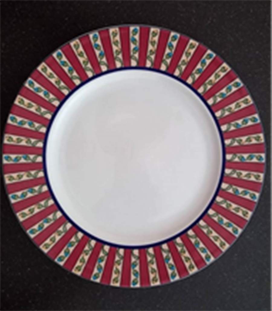 TOG67 Dinner Plate by Tognana-1