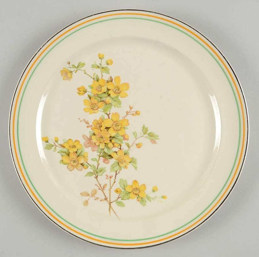 TST1111 Dinner Plate by Taylor, Smith & Taylor (Ts&T)-1