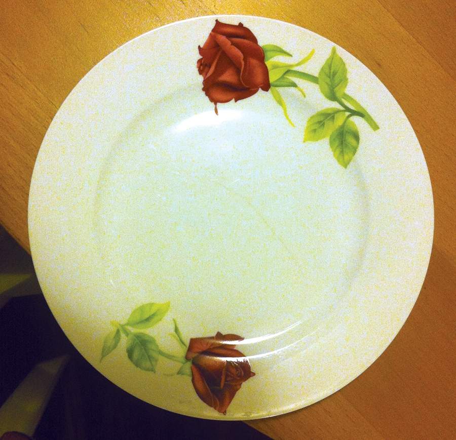 TOX12 Dinner Plate by Toyo-1