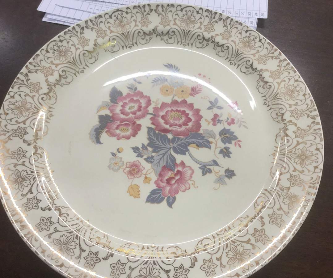 TST1119 Dinner Plate by Taylor, Smith & Taylor (Ts&T)-1