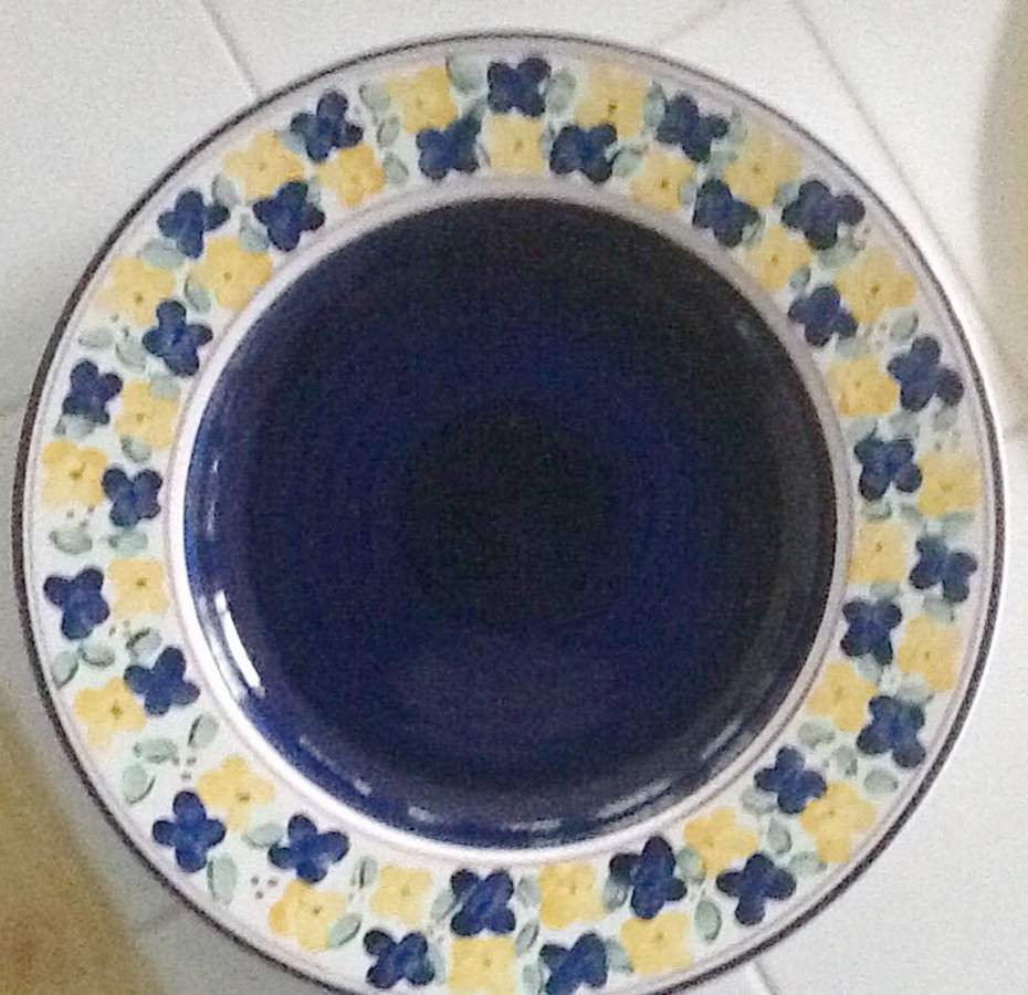 Veranda Dinner Plate by Tabletops Unlimited-1