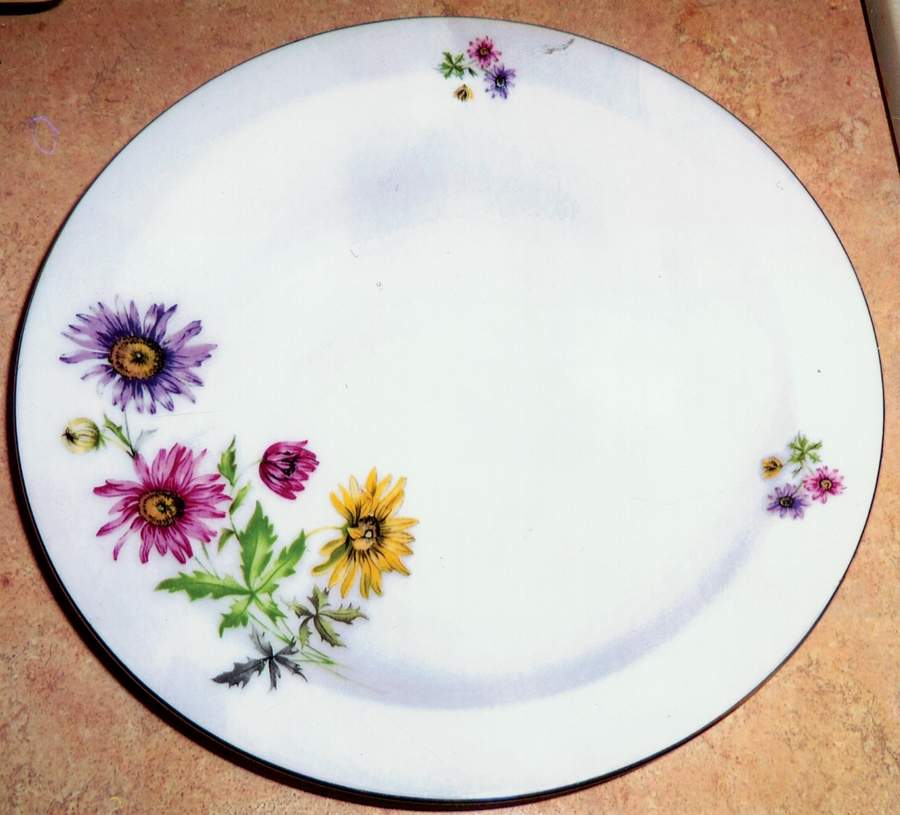 THU531 Dinner Plate by Thun-1