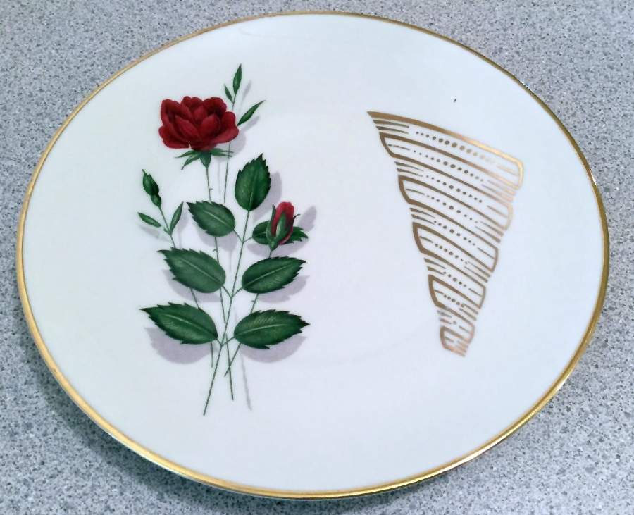 TIR723 Dinner Plate by Tirschenreuth-1