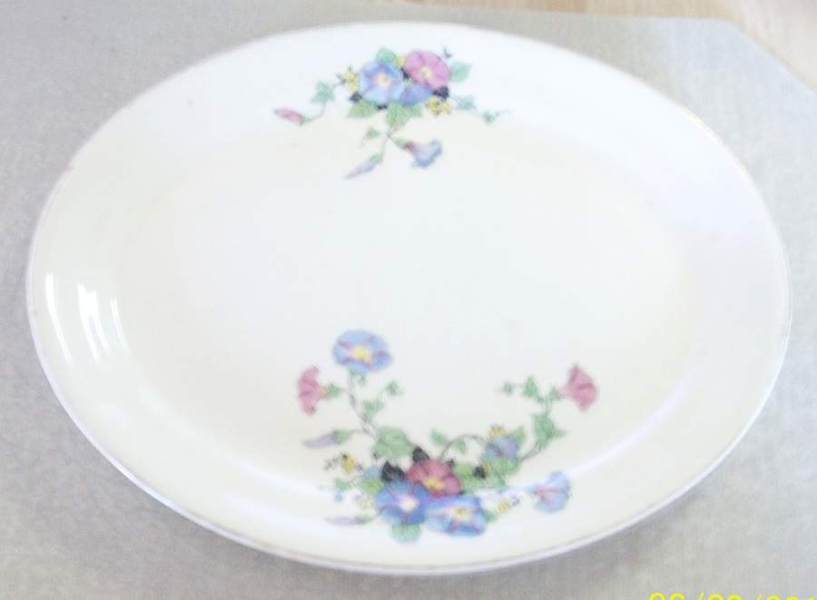 TST1128 10" Oval Serving Platter by Taylor, Smith & Taylor (Ts&T)-1