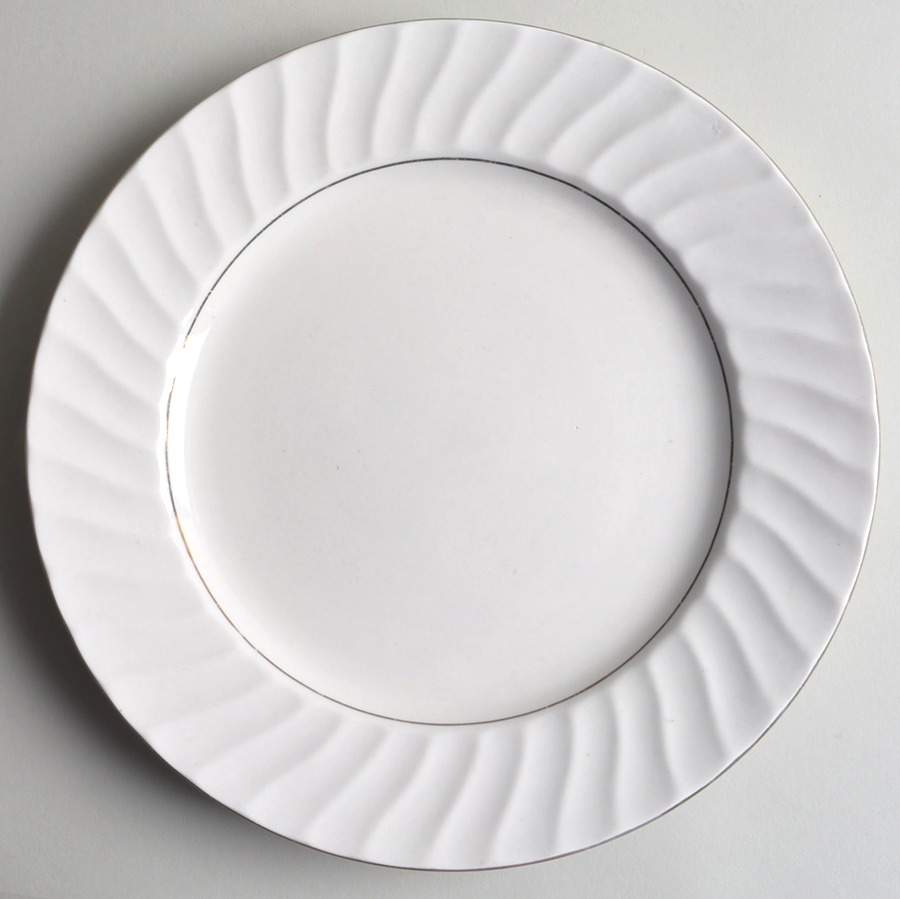 TTO45 Dinner Plate by Totally Today-1