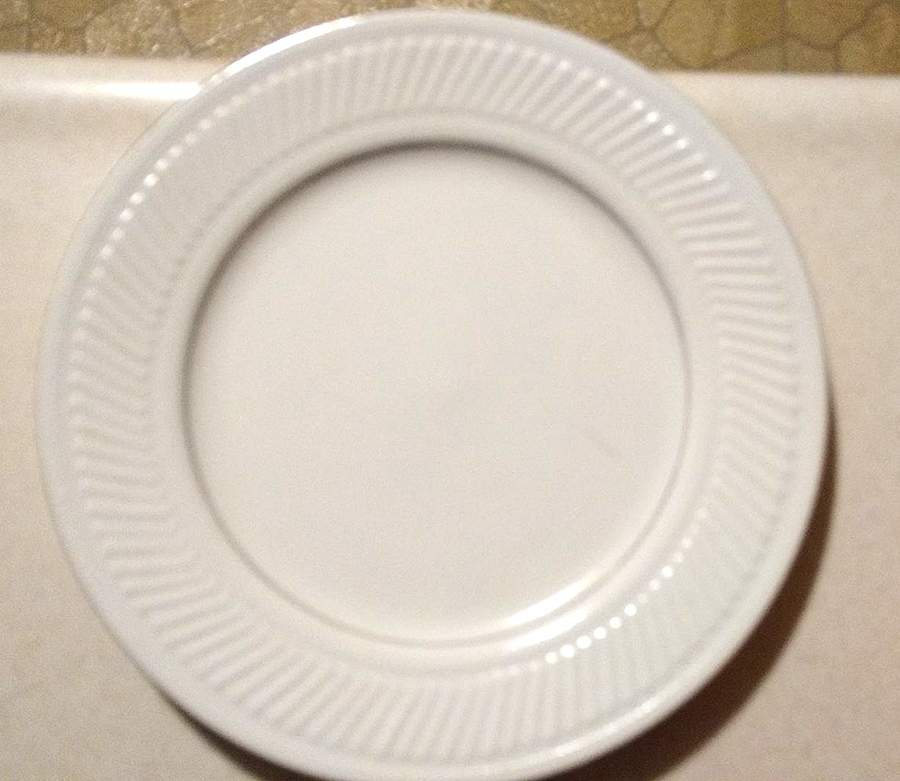 TTO46 Dinner Plate by Totally Today-1