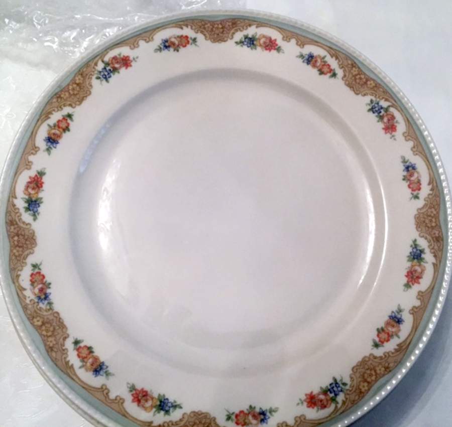 TIR727 Dinner Plate by Tirschenreuth-1