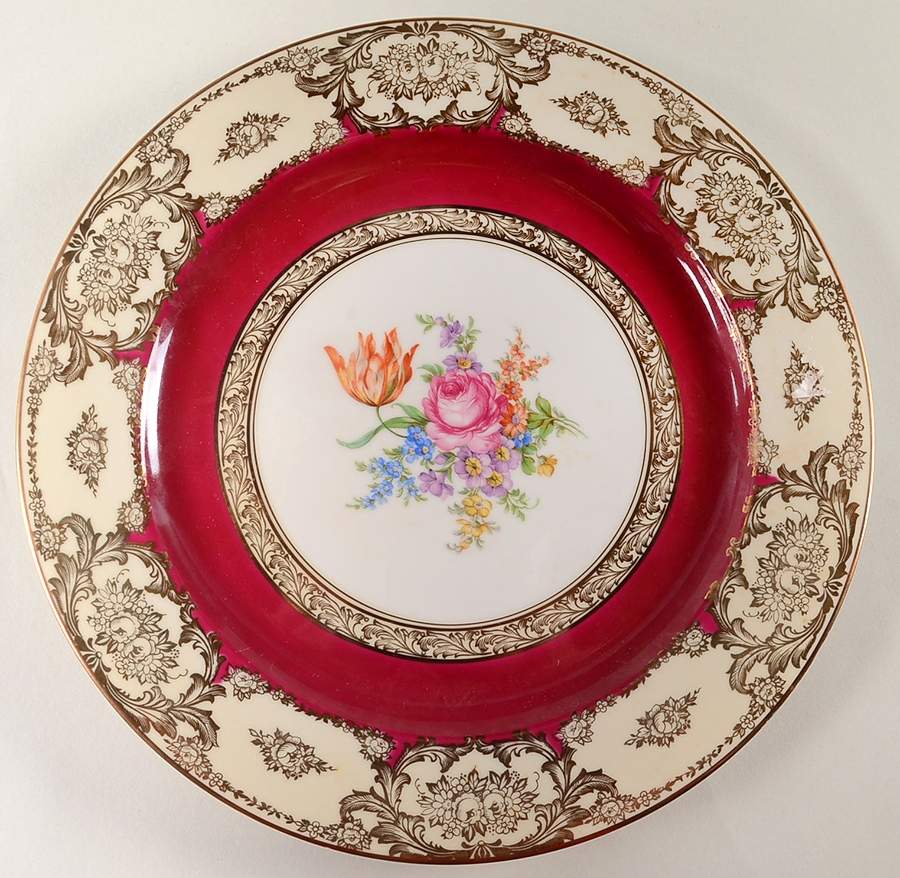 TIR728 Dinner Plate by Tirschenreuth-1