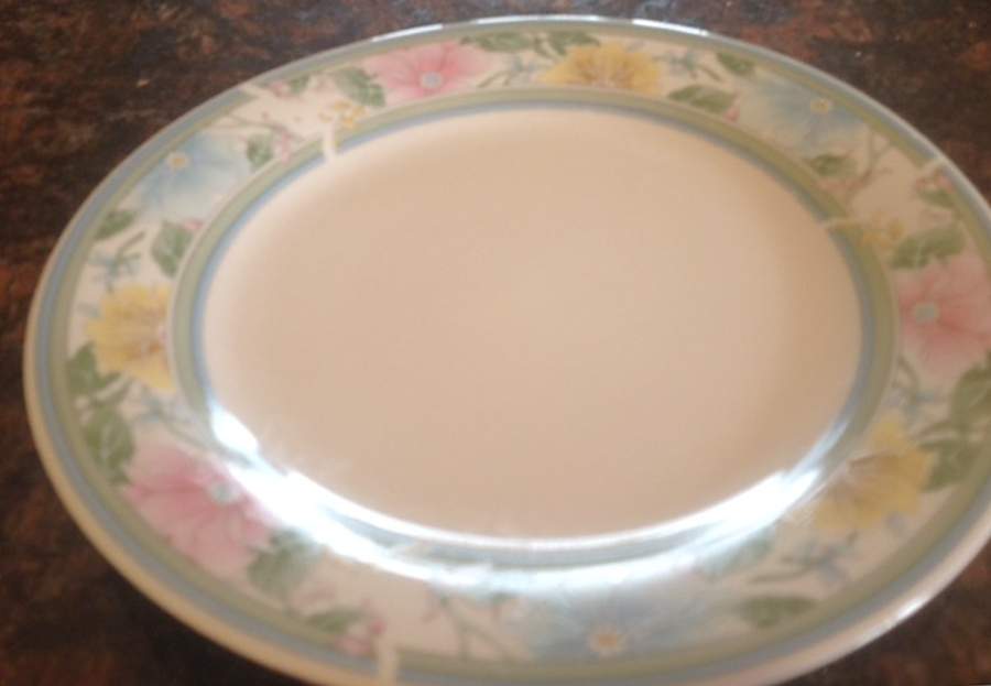 TIE96 Dinner Plate by Tienshan-1