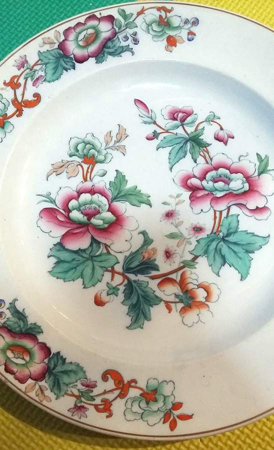 Eglinton Dinner Plate by Thomas Dimmock-1