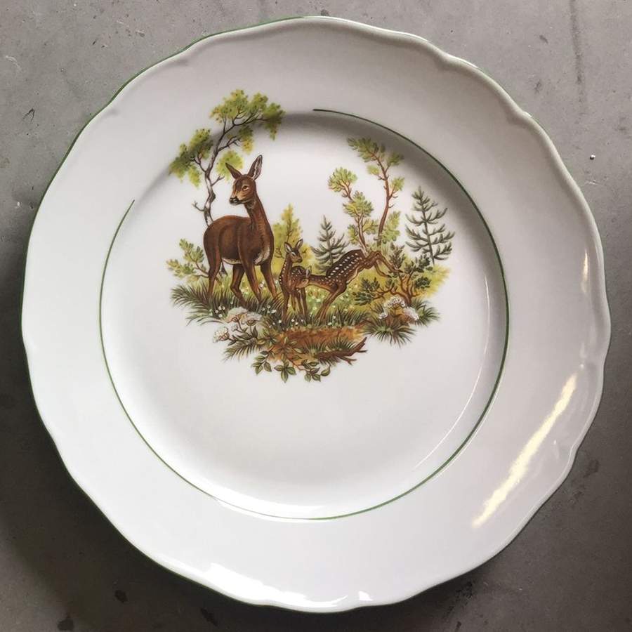 TIR730 Dinner Plate by Tirschenreuth-1