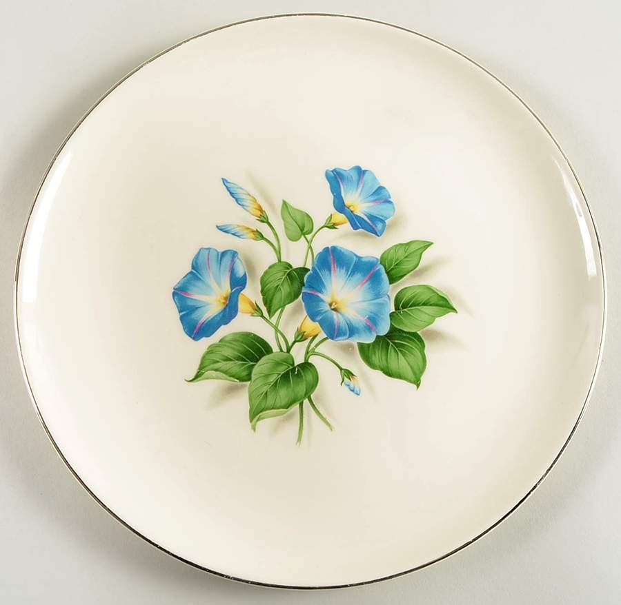 TST165 Platinum Dinner Plate by Taylor, Smith & Taylor (Ts&T)-1