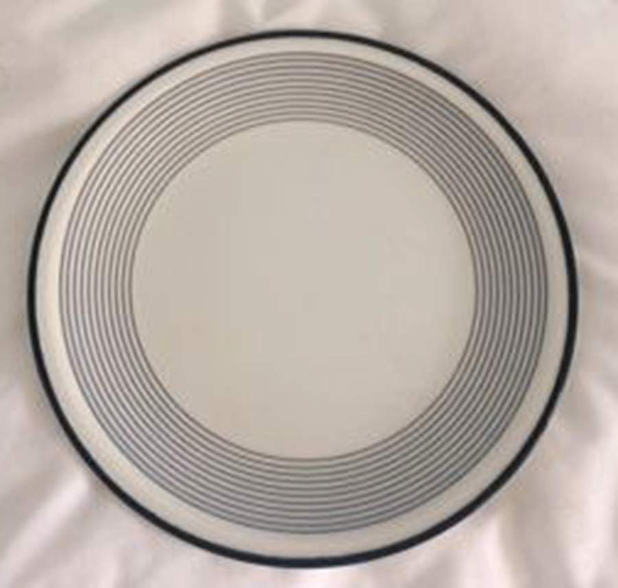 TOG72 Dinner Plate by Tognana-1